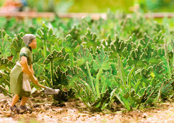 HO LASER-CUT MINI ZUCCHINI/15 PLANTS