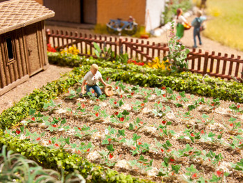 HO LASER-CUT STRAWBERRIES/48 PLANTS