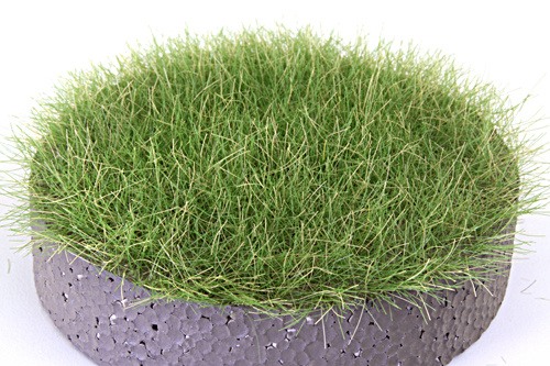 12MM LATE SUMMER STATIC GRASS/ 250 Grams