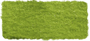 SILFLOR SHORT SPRING LAWN - 1/2 SHEET
