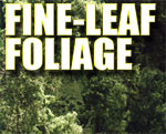 Sale Fine Leaf