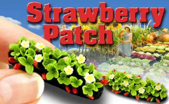 O-SCALE STRAWBERRY PATCH