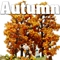 Autumn Tone