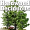 Hardwoods & Aspens