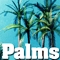 Palm Trees