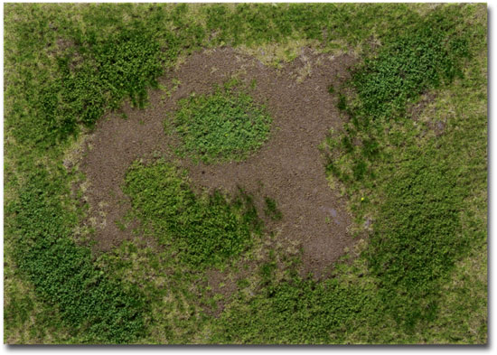 SUMMER ROUGH MEADOW WITH WEEDS TYPE 'B' 30x21cm