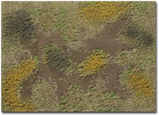 AUTUMN ROUGH MEADOW WITH WEEDS TYPE 'E' MAT 30x21cm