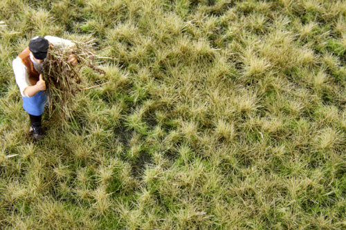 Multi-Layered Tufts - Autumn Tone - 2-4mm