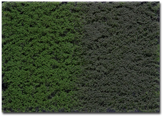 6MM LATE SUMMER MULTI-PAK TUFTS WITH WEEDS