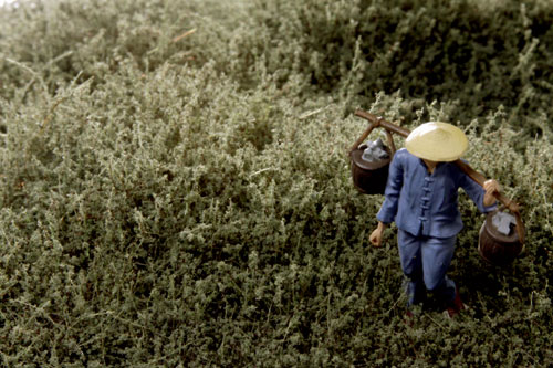 HIGH BURNT GREEN THICKET TYPE 'E'