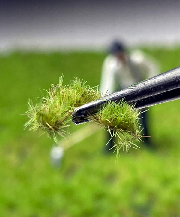2mm Multi-Layered Spring Tufts