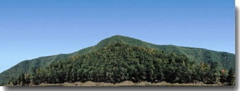 MOUNTAIN SCENE #1
