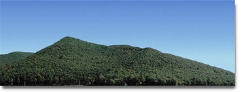 MOUNTAIN SCENE #2