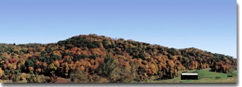 FALL MOUNTAIN SCENE-RIGHT