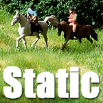 Static Grasses