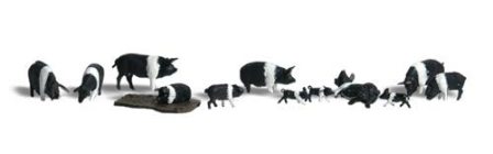 HO-SCALE HAMPSHIRE PIGS